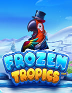 แทง เทนนิส: ทดลองเล่นเพื่อความสนุกและการทำเงิน