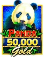 โปรแกรมแฮก สล็อต xo ที่คุณควรรู้